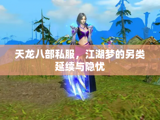 天龙八部私服，江湖梦的另类延续与隐忧