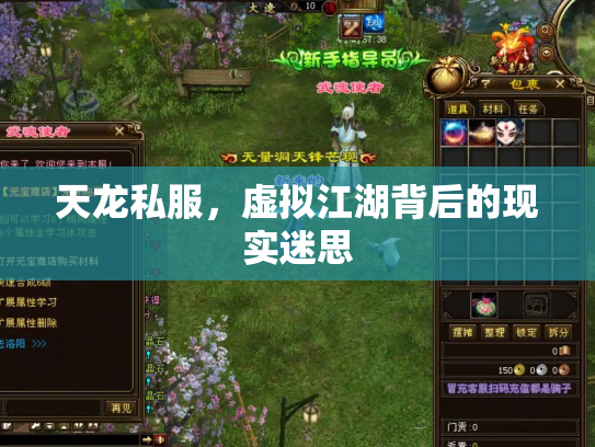 天龙私服，虚拟江湖背后的现实迷思