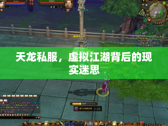 天龙私服，虚拟江湖背后的现实迷思