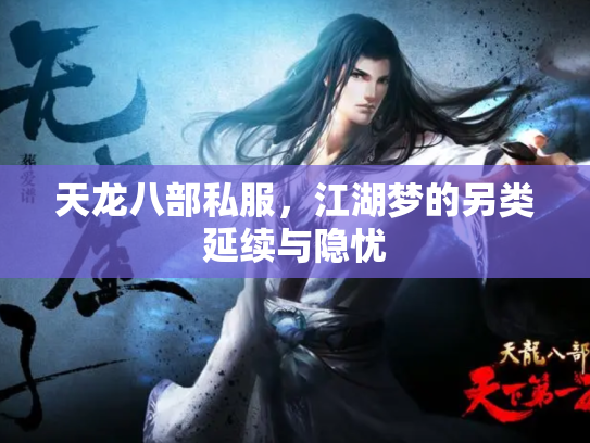 天龙八部私服，江湖梦的另类延续与隐忧