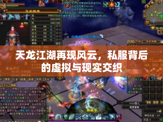 天龙江湖再现风云，私服背后的虚拟与现实交织