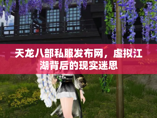 天龙八部私服发布网，虚拟江湖背后的现实迷思