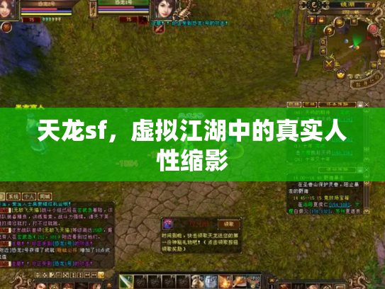 天龙sf，虚拟江湖中的真实人性缩影