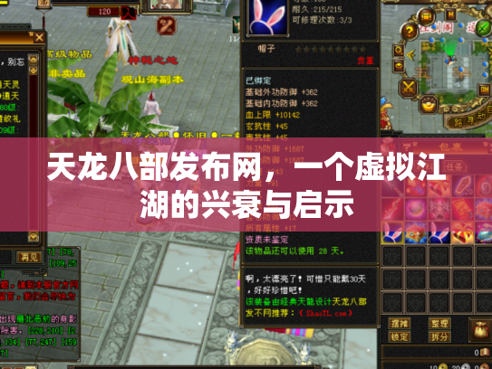 天龙八部发布网，一个虚拟江湖的兴衰与启示