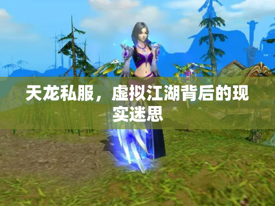 天龙私服，虚拟江湖背后的现实迷思