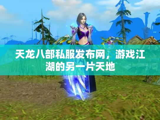 天龙八部私服发布网，游戏江湖的另一片天地