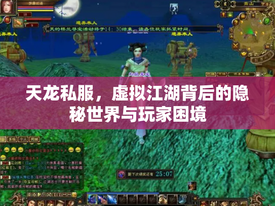 天龙私服，虚拟江湖背后的隐秘世界与玩家困境