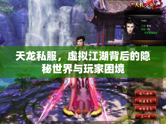 天龙私服，虚拟江湖背后的隐秘世界与玩家困境