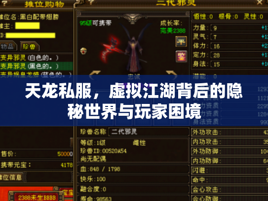 天龙私服，虚拟江湖背后的隐秘世界与玩家困境