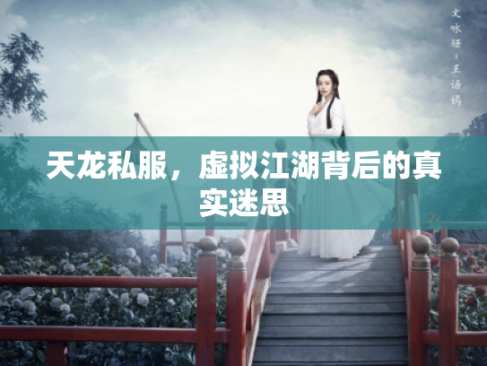 天龙私服，虚拟江湖背后的真实迷思