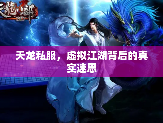 天龙私服，虚拟江湖背后的真实迷思