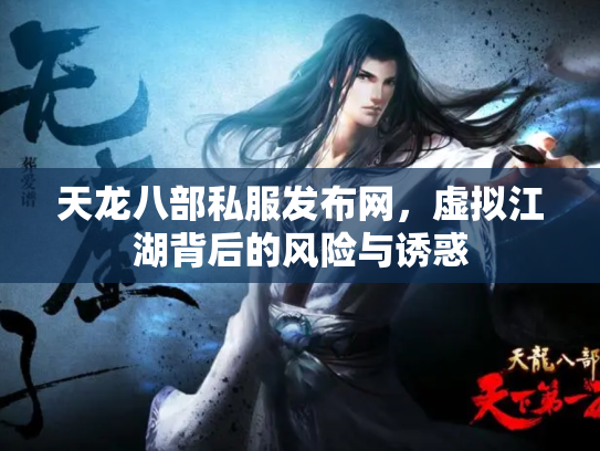 天龙八部私服发布网，虚拟江湖背后的风险与诱惑