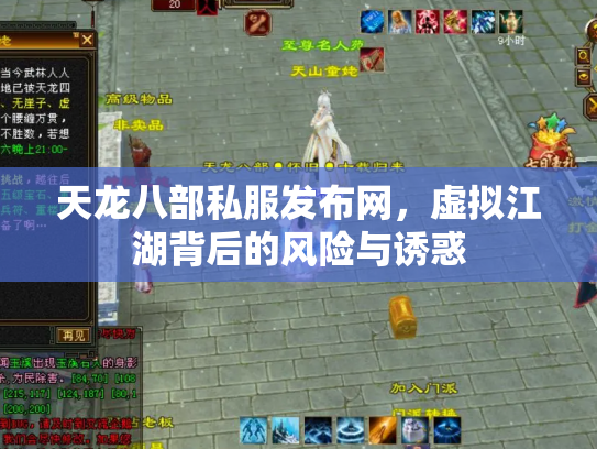 天龙八部私服发布网，虚拟江湖背后的风险与诱惑