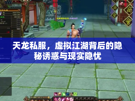 天龙私服，虚拟江湖背后的隐秘诱惑与现实隐忧