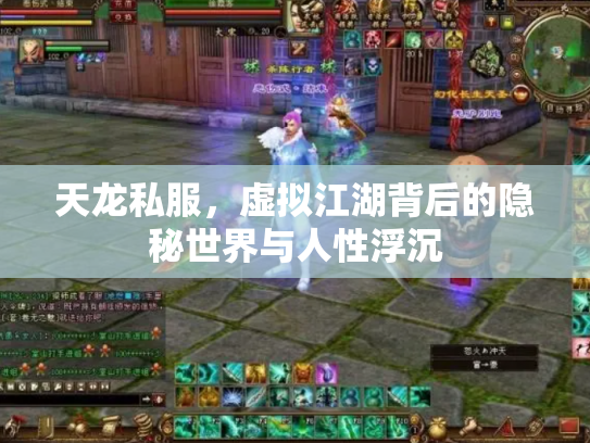 天龙私服，虚拟江湖背后的隐秘世界与人性浮沉