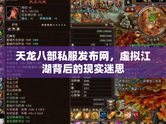 天龙八部私服发布网，虚拟江湖背后的现实迷思