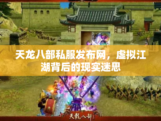天龙八部私服发布网，虚拟江湖背后的现实迷思