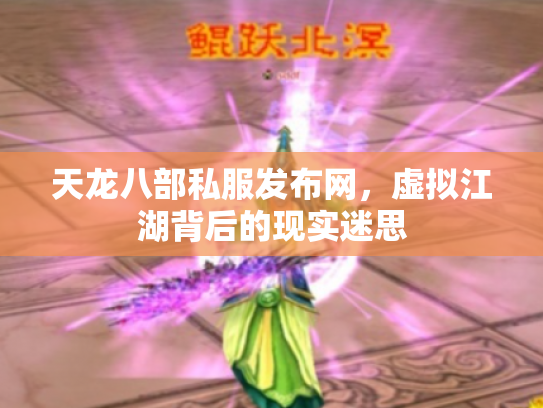 天龙八部私服发布网，虚拟江湖背后的现实迷思
