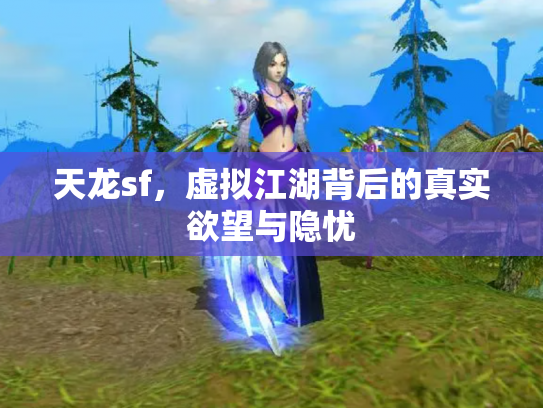 天龙sf，虚拟江湖背后的真实欲望与隐忧