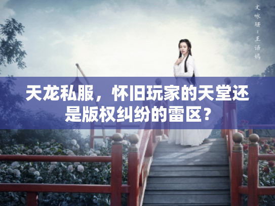 天龙私服，怀旧玩家的天堂还是版权纠纷的雷区？