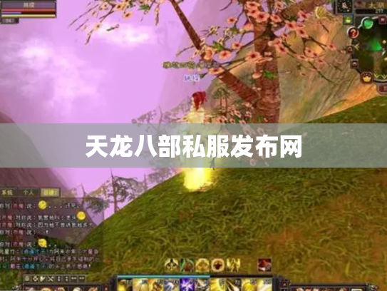 天龙八部私服发布网