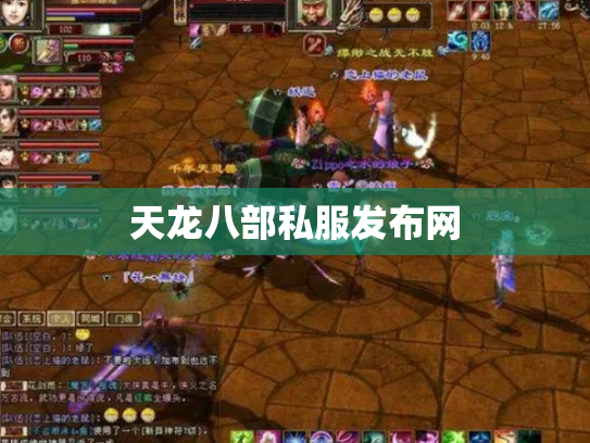天龙八部私服发布网