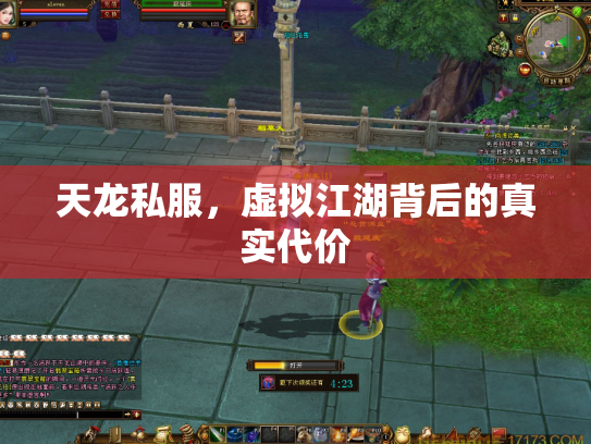 天龙私服，虚拟江湖背后的真实代价
