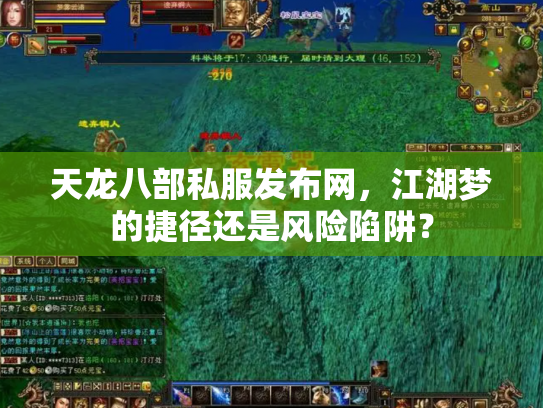 天龙八部私服发布网，江湖梦的捷径还是风险陷阱？