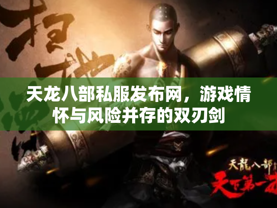 天龙八部私服发布网，游戏情怀与风险并存的双刃剑