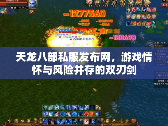 天龙八部私服发布网，游戏情怀与风险并存的双刃剑
