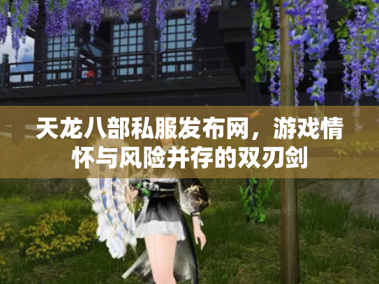 天龙八部私服发布网，游戏情怀与风险并存的双刃剑