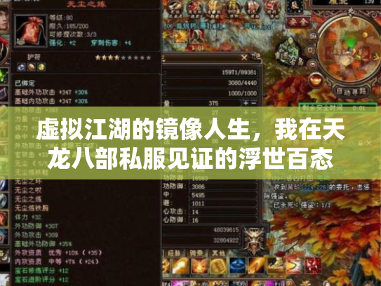 虚拟江湖的镜像人生，我在天龙八部私服见证的浮世百态