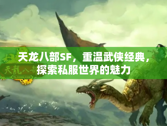 天龙八部SF，重温武侠经典，探索私服世界的魅力