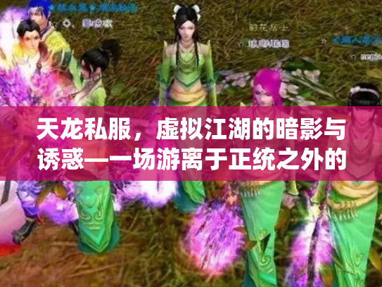 天龙私服，虚拟江湖的暗影与诱惑—一场游离于正统之外的武侠梦