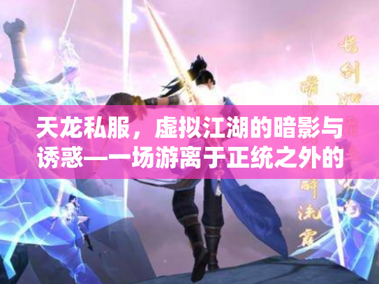 天龙私服，虚拟江湖的暗影与诱惑—一场游离于正统之外的武侠梦