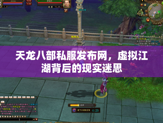 天龙八部私服发布网，虚拟江湖背后的现实迷思
