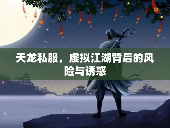 天龙私服，虚拟江湖背后的风险与诱惑