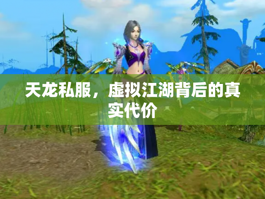 天龙私服，虚拟江湖背后的真实代价