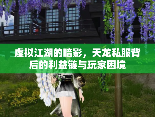 虚拟江湖的暗影，天龙私服背后的利益链与玩家困境