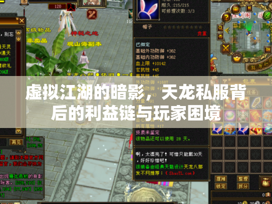 虚拟江湖的暗影，天龙私服背后的利益链与玩家困境