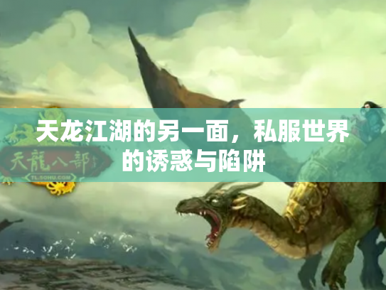 天龙江湖的另一面，私服世界的诱惑与陷阱