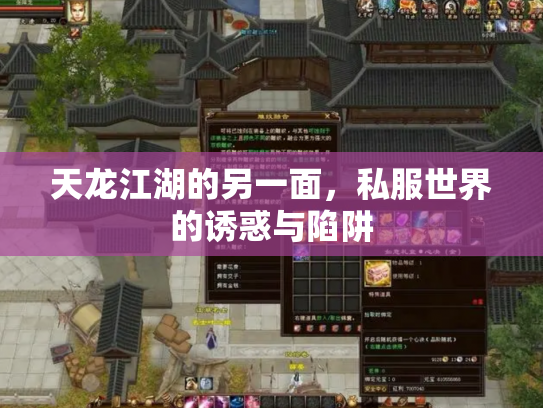 天龙江湖的另一面，私服世界的诱惑与陷阱