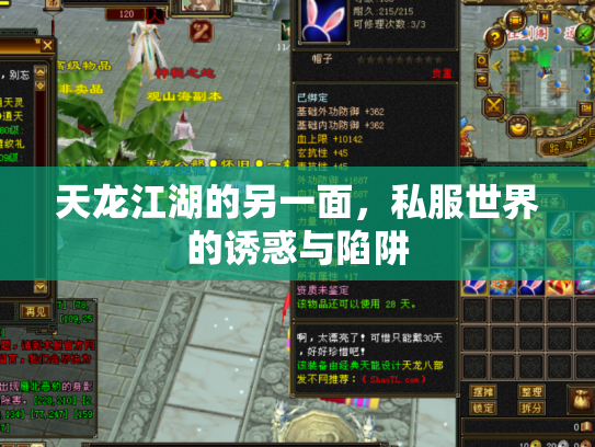 天龙江湖的另一面，私服世界的诱惑与陷阱