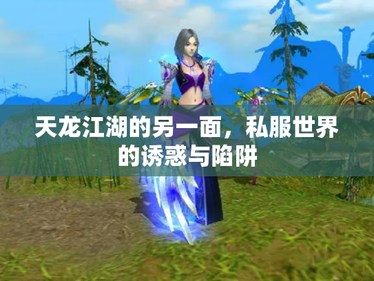 天龙江湖的另一面，私服世界的诱惑与陷阱