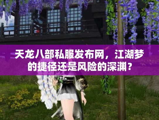 天龙八部私服发布网，江湖梦的捷径还是风险的深渊？