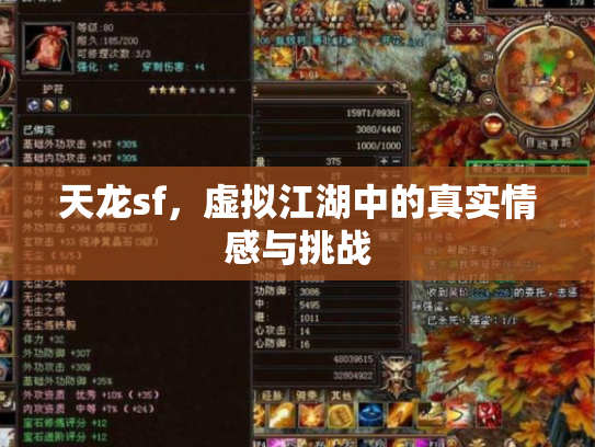 天龙sf，虚拟江湖中的真实情感与挑战