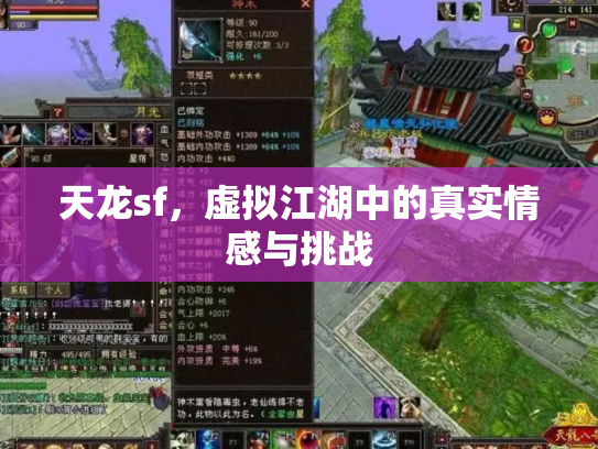 天龙sf，虚拟江湖中的真实情感与挑战