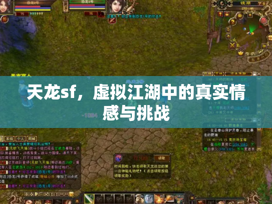 天龙sf，虚拟江湖中的真实情感与挑战