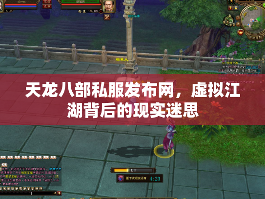 天龙八部私服发布网，虚拟江湖背后的现实迷思