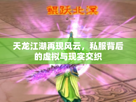 天龙江湖再现风云，私服背后的虚拟与现实交织